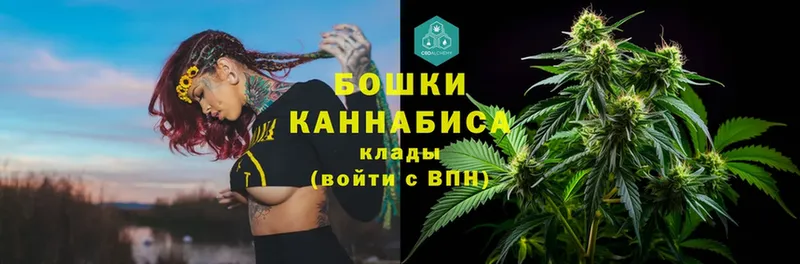 цены   Курильск  Марихуана OG Kush 